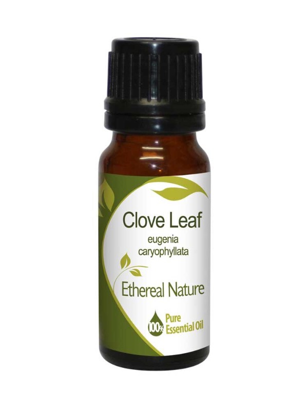 Essential oil - Clove 10ml