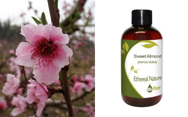 Sweet Almond Oil 50ml