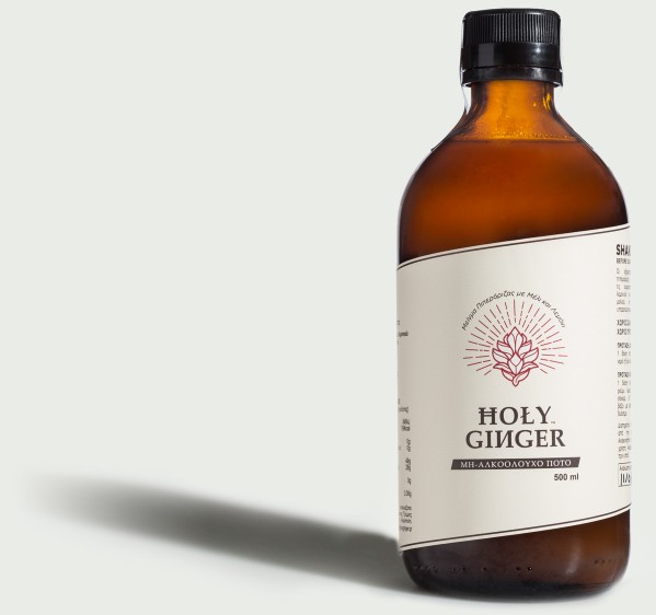 Holy Ginger 500ml