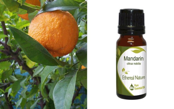 Mandarin Essential Oil 10ml